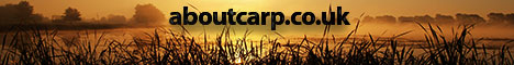 About Carp