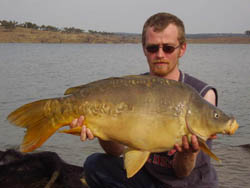 carp spain