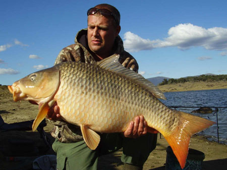 Carp