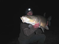 Catch Carp Spain