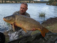 Catch Carp Now