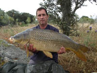 Catch Carp Now