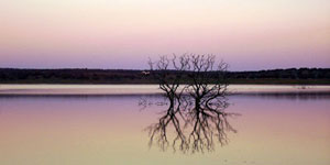 The Lake