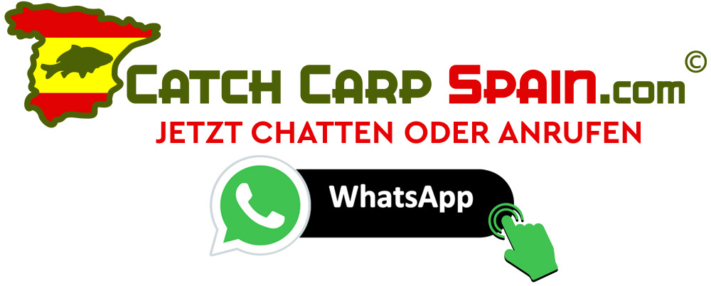 Jetzt chatten oder anrufen