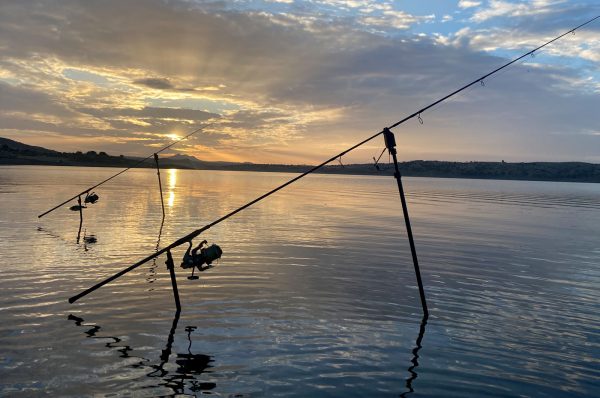 Carp Fishing Holiday